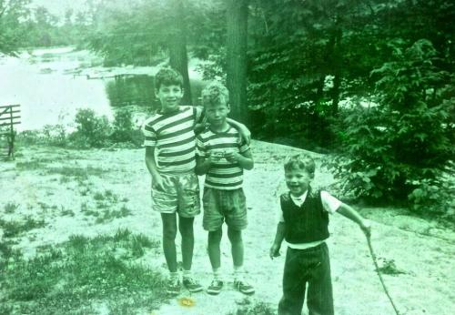 1954