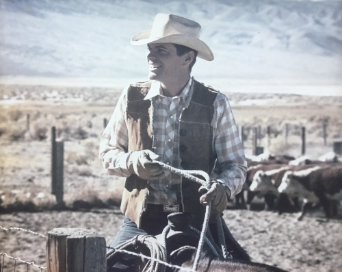 Horseback with Cattle